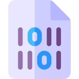 Binary Code